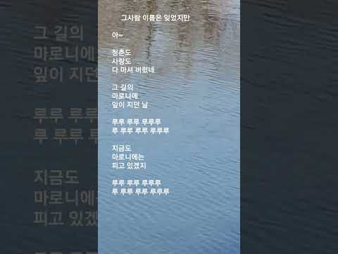 #그사람 이름은 잊었지만   #송창식  #원곡:박건  #아~ 청춘도 사랑도 다 마셔 버렸네....     #지금도 마로니에는 피고 있겠지