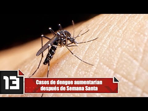 Casos de dengue aumentarían después de Semana Santa