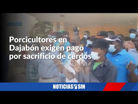 En Dajabón exigen pago por sacrificio de cerdos