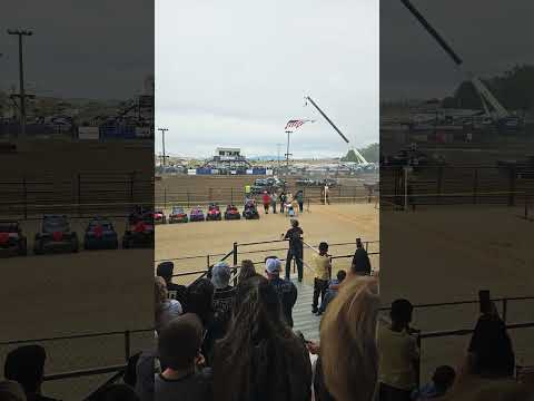 derny #nature #sheep #beatifulnature #wildlife