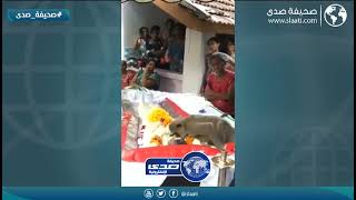 قرد يودع صاحبه