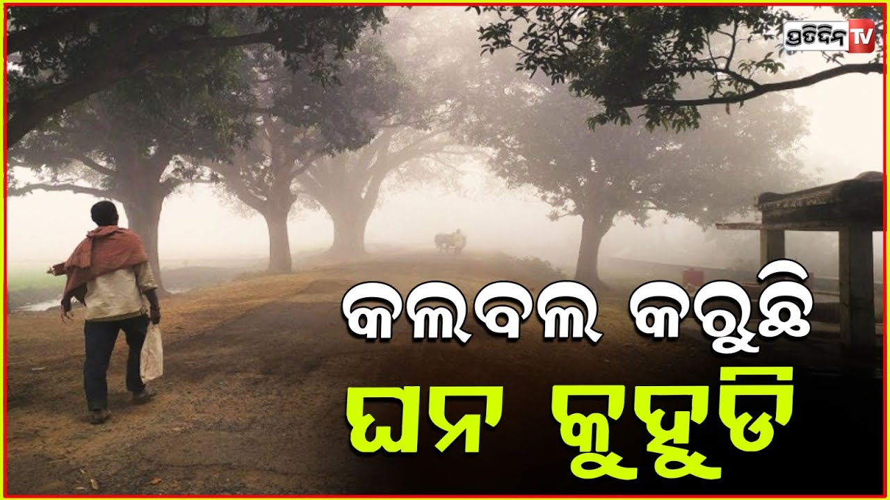 କଲବଲ କରୁଛି ଘନ କୁହୁଡି ,ଦିଶୁନି ରାସ୍ତାଘାଟ ,ପ୍ରଭାବିତ ଜନ ଜୀବନ ! Odisha weather updates