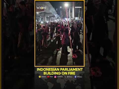 Three Dead as Indonesian Protesters Set Fire to Regional Parliament Building | WION Shorts