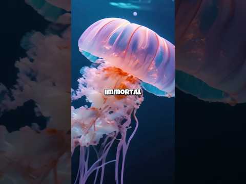 The Longest-Living Creatures on Earth! #animals #nature