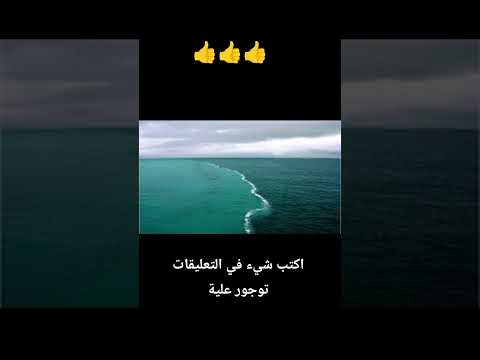 ✨ تلاوة تهز القلوب | أم من جعل الأرض قرارًا بصوت خاشع للقارئ أحمد النفيس 🌿 #قران_كريم