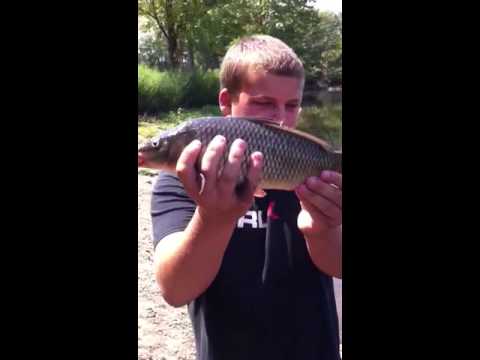 Herricks pond park carp fishing video thumbnail