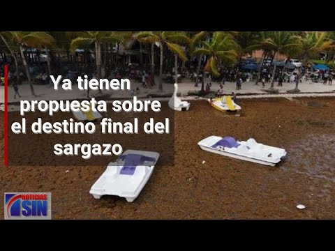 Medio Ambiente tiene propuesta sobre el destino final del sargazo