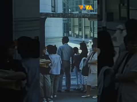 Huling-huli na nila Vic Sotto, nakawala pa! #shorts #movieclips #vivafilms