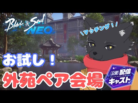 外苑ペア需要ありそう【ブレイドアンドソウルNEO】