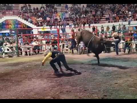 TERREMOTO DE SAN CARLOS 🆚 TORO TUTANKAMÓN 🐂. 2026