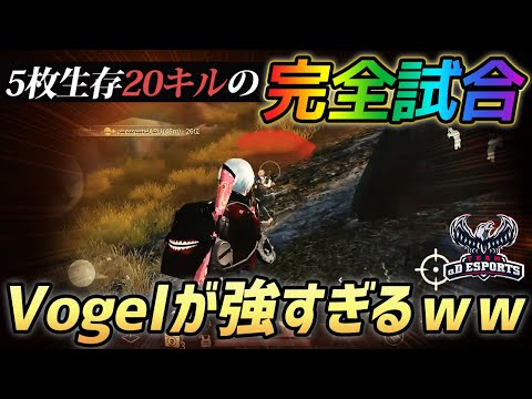 【荒野行動】完全試合!!久々にαDVogelで20キルドン勝の超無双回をおみせします。