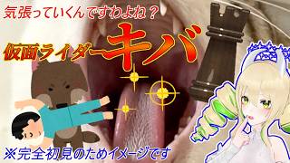【同時視聴】仮面ライダーキバ 第21、22話 結婚するのか、わたくし以外の女と～～～💍💒！？