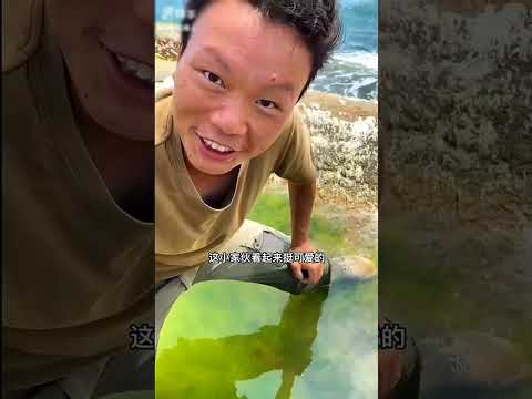 ঘুম থেকে উঠে পাকা ফল সংগ্রহ করে সমুদ্র থেকে ধরি ইল মাছ লবস্টার কাঁকড়া #yt #ytshots #shotrs