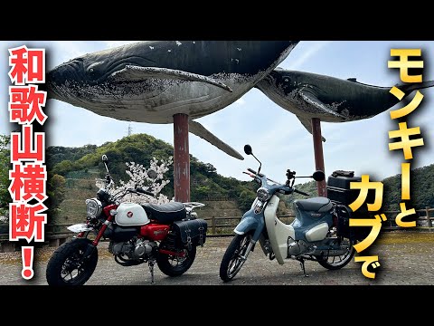 モンキーとカブで和歌山を堪能してきました。【モンキー125 スーパーカブ】【c125 ツーリング】【モンキー125 ツーリング】