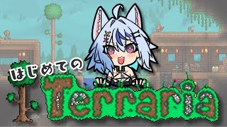 【 ゲーム┆テラリア 】はじめてのTerraria🌳┆ #音狼ビビ #テラリア