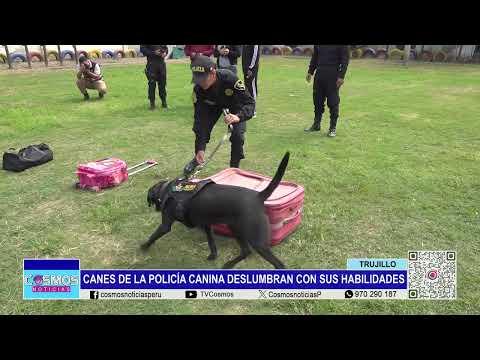 Trujillo: canes de la policía canina deslumbran con sus habilidades