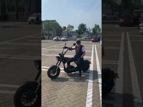 Citycoco chopper electric scooter Rooder