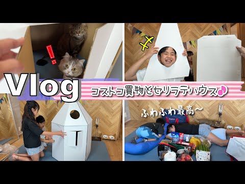 ★Vlog★セリラテハウス作っちゃお!コストコおかいものも♪