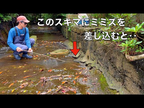 水深7センチ、距離1mのウナギの穴釣りが面白い!