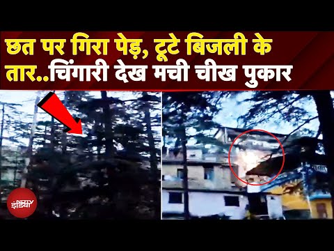 Himachal Pradesh: Shimla में भारी बारिश से घर की छत पर गिरा पेड़, बिजली के तारों से निकली चिंगारी