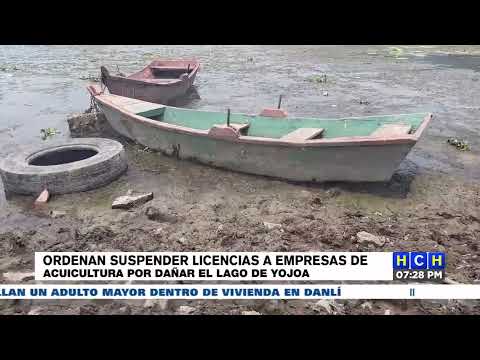 Ordenan suspender licencias a empresas de acuicultura por el daño causado al Lago de Yojoa