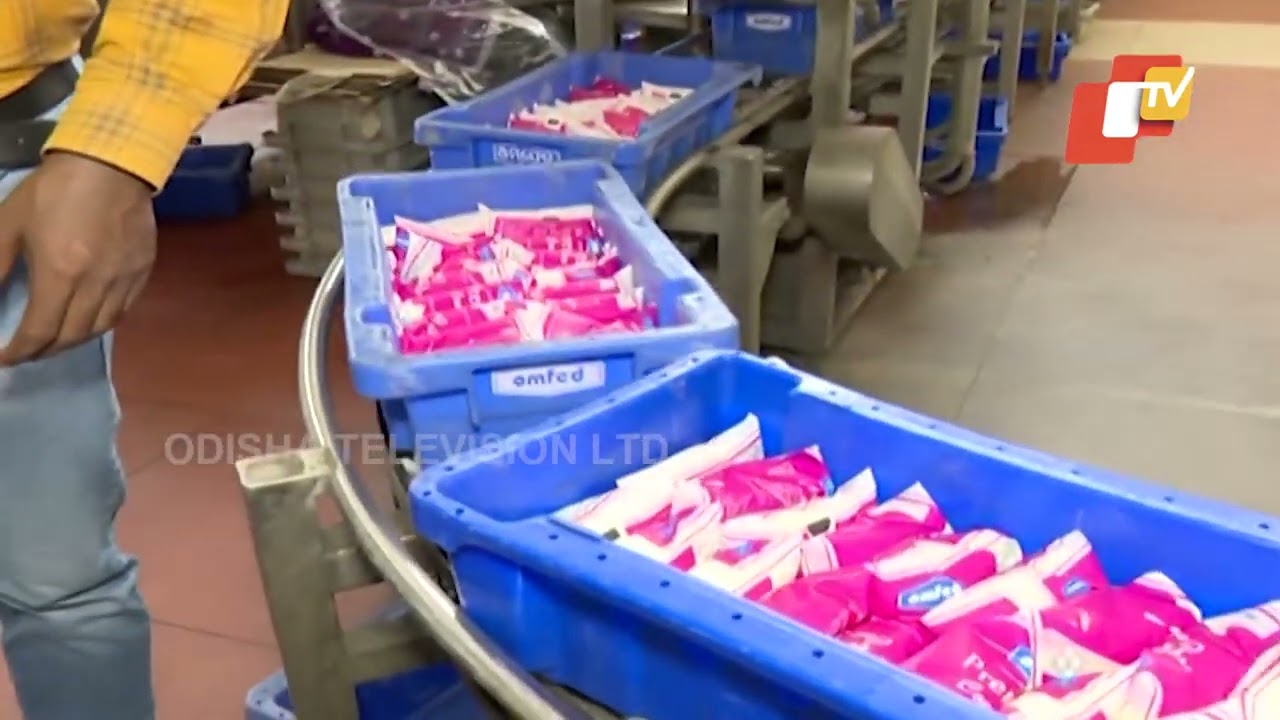 From Farm to Pack: OTV Unveils the Ghee-Making Secrets at OMFED’s Arilo Plant