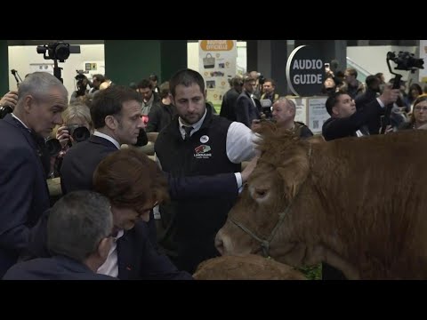 French president Macron opens the Paris International Agricultural Show | AFP