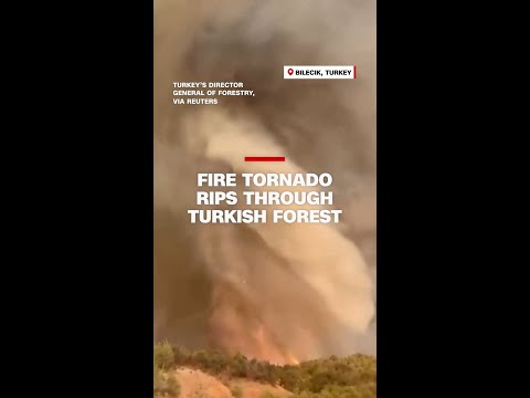 Fire tornado rips through Turkish forest