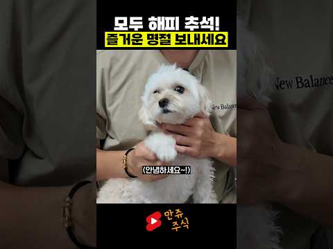 모두 <strong>해피</strong> 추석! 즐거운 명절 보내세요~🙇‍♂️  (만쥬x수급단타왕)