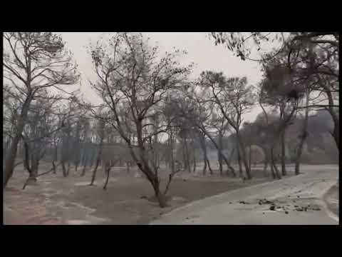 Στάχτη και καταστροφές: Το CNN Greece στο Λουτράκι μετά τη φωτιά