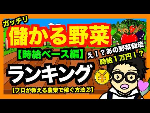 【儲かる野菜ランキング】時給ベースで儲かる野菜を発表！あの野菜の栽培が時給１万円超え！？【アニメでわかる家庭菜園解説】