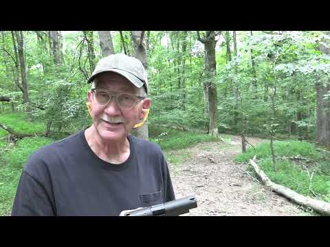 SIG P226 Legion Woods Walk