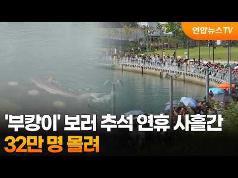 '부캉이' 보러 추석 연휴 사흘간 32만 명 몰려 / 연합뉴스TV (YonhapnewsTV)