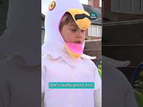 10-year-old bird impersonator to defend gull screeching European title #itvnews