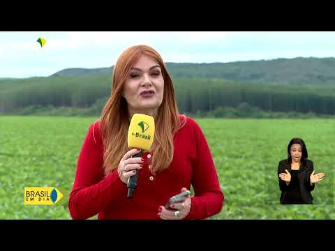 Nanossatélite brasileiro vai monitorar áreas agrícolas do Maranhão em 2023