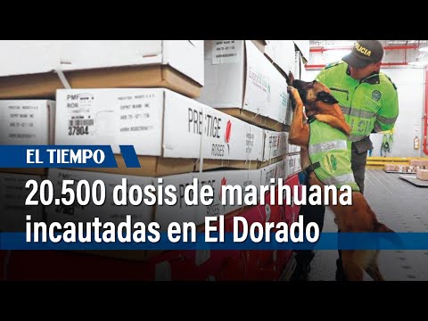 Autoridades decomisaron más de 20.000 dosis de marihuana en El Dorado | El Tiempo