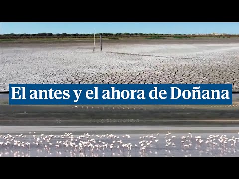 El antes y el ahora de Doñana tras las lluvias de Semana Santa