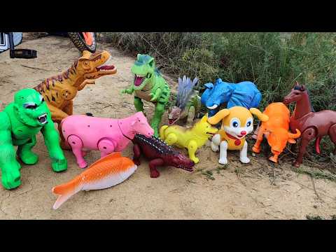 จระเข้ กอริลล่า ปลา ไดโนเสาร์ ช้าง วัว ควาย ม้าอยู่ที่บ่อดิน cow crocodile horse elephant buffalo