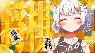 【将棋】四間飛車最強✨将棋アイドルの生配信【VTuber】