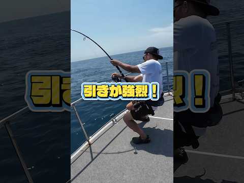 夏のキハダは強烈で最高！