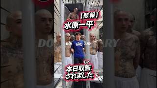 【悲報】水原一平 本日収監されました【ガチ】