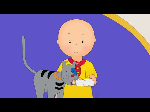 Caillou bir kemiğini kırıyor! | Çocuklar için çizgi filmler | Caillou Türkçe