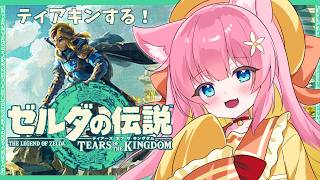 [初見さん大歓迎]初めてのゼルダシリーズをやってみよう#3[VTuber]【ティアキン】