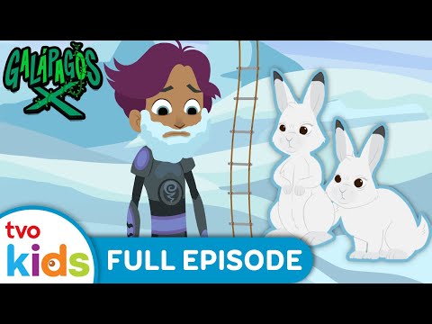 GALAPAGOS X – Hare Out of Place 🐇❄ NEW 2024 Show Season 1 Full Episode | TVOkids