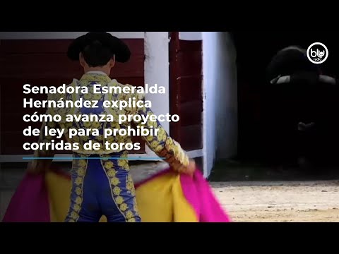 Senadora Esmeralda Hernández explica cómo avanza proyecto de ley para prohibir corridas de toros