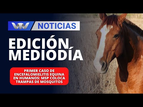 Ed.Mediodía 31/01|Primer caso de encefalomielitis equina en humanos: MSP coloca trampas de mosquitos