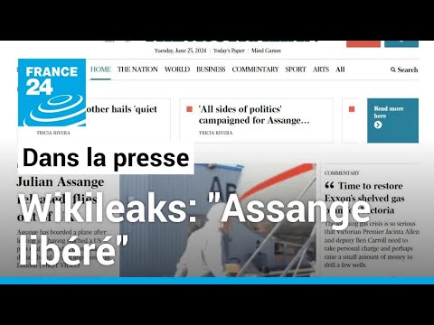 Libération de Julian Assange: Le fondateur de Wikileaks devrait être récompensé • FRANCE 24