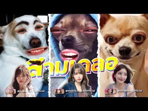 สามเกลอ..-🤣 สามเกลอ..-🤣