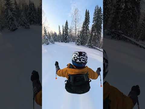 Где найти снег для фрирайда даже через 3 дня после снегопада? #лыжи #сноуборд #шерегеш # фрирайд
