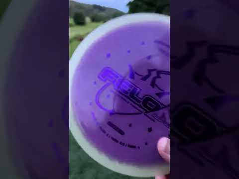 Felon i mitt hjärta! 🥰😂 Hål 17 på Strömstad Discgolfklubb #discgolf #frisbeegolf #shorts